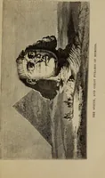 Picture 12 of 48 from Lectures on sculpture, as delivered before the president and members of the Royal Academy (1865), leaf 354