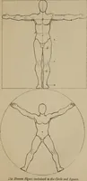 An illustration from Lectures on sculpture, as delivered before the president and members of the Royal Academy (1865)