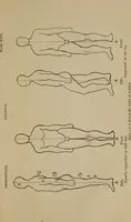 An illustration from Lectures on sculpture, as delivered before the president and members of the Royal Academy (1865)