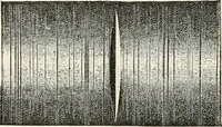 An illustration from Lectures on some recent advances in physical science : with a special lecture on force (1876)