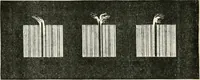 An illustration from Lectures on some recent advances in physical science : with a special lecture on force (1876)