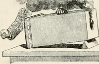 An illustration from Lectures on some recent advances in physical science : with a special lecture on force (1876)