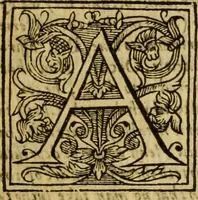 An illustration from Lectures or daily sermons, of that Reuerend Diuine, D. Iohn Caluine... upon the Prophet Jonas .. (1578)