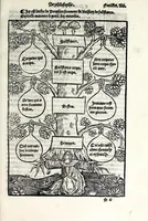 An illustration from Le cueur de philosophie : translate de latin en francoys a la requeste de Philippes le bel roy de France (1538)