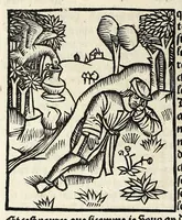 An illustration from Le cueur de philosophie : translate de latin en francoys a la requeste de Philippes le bel roy de France (1538)