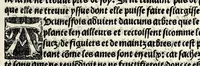 An illustration from Le cueur de philosophie : translate de latin en francoys a la requeste de Philippes le bel roy de France (1538)
