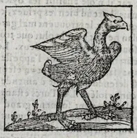 Picture 8 of 27 from Le description philosophale de la nature & condition des oyseaux & de l'inclination & proprieté d'iceux (1571), leaf 62