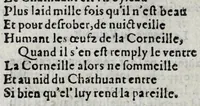 An illustration from Le description philosophale de la nature & condition des oyseaux & de l'inclination & proprieté d'iceux (1571)