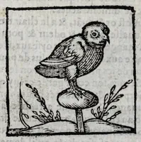 Picture 10 of 27 from Le description philosophale de la nature & condition des oyseaux & de l'inclination & proprieté d'iceux (1571), leaf 64
