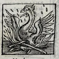 Picture 2 of 27 from Le description philosophale de la nature & condition des oyseaux & de l'inclination & proprieté d'iceux (1571), leaf 8