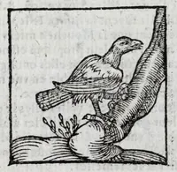 An illustration from Le description philosophale de la nature & condition des oyseaux & de l'inclination & proprieté d'iceux (1571)