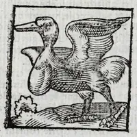 Picture 22 of 27 from Le description philosophale de la nature & condition des oyseaux & de l'inclination & proprieté d'iceux (1571), leaf 92