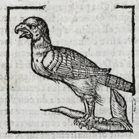 Picture 23 of 27 from Le description philosophale de la nature & condition des oyseaux & de l'inclination & proprieté d'iceux (1571), leaf 94