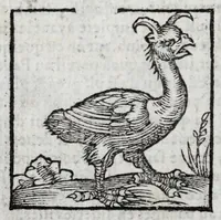 Picture 25 of 27 from Le description philosophale de la nature & condition des oyseaux & de l'inclination & proprieté d'iceux (1571), leaf 98