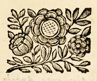 An illustration from Le descrittioni vniuersali et particolari del mondo, & delle republiche. (1660)