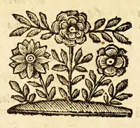 An illustration from Le descrittioni vniuersali et particolari del mondo, & delle republiche. (1660)
