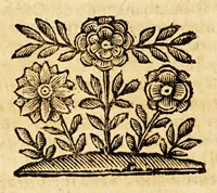 An illustration from Le descrittioni vniuersali et particolari del mondo, & delle republiche. (1660)