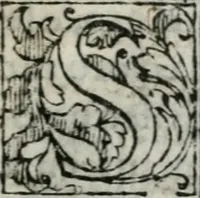 An illustration from Le dieci mascherate delle bvfole mandate in Firenze il giorno di carnouale l'anno 1565. : con la descrizzione di tutta la pompa delle maschere, e loro inuenzioni (1566)