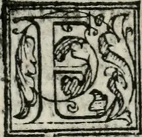 An illustration from Le dieci mascherate delle bvfole mandate in Firenze il giorno di carnouale l'anno 1565. : con la descrizzione di tutta la pompa delle maschere, e loro inuenzioni (1566)