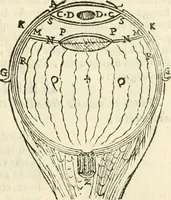 An illustration from Le due regole della prospettiua pratica (1611)