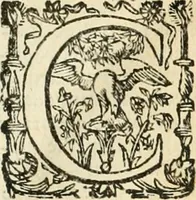An illustration from Le due regole della prospettiua pratica (1611)