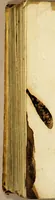 An illustration from Le epistole famig. di Cicerone, (1545)