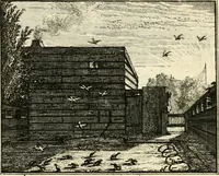 An illustration from Leerzaame zinnebeelden (1714)