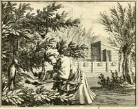 An illustration from Leerzaame zinnebeelden (1714)