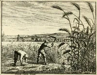 An illustration from Leerzaame zinnebeelden (1714)