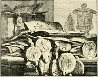 An illustration from Leerzaame zinnebeelden (1714)