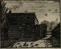 Picture 23 of 84 from Leerzaame zinnebeelden (1757), leaf 117