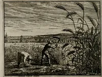 An illustration from Leerzaame zinnebeelden (1757)
