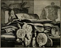 Picture 8 of 84 from Leerzaame zinnebeelden (1757), leaf 49