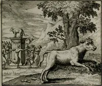 An illustration from Leerzame zinnebeelden : bestaande in christelyke bedenkingen door vergelykinge eeniger schepfelen ... (1704)