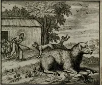 An illustration from Leerzame zinnebeelden : bestaande in christelyke bedenkingen door vergelykinge eeniger schepfelen ... (1704)
