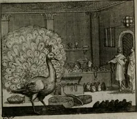 An illustration from Leerzame zinnebeelden : bestaande in christelyke bedenkingen door vergelykinge eeniger schepfelen ... (1704)