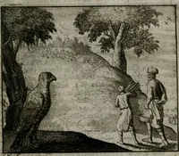 Picture 76 of 113 from Leerzame zinnebeelden : bestaande in christelyke bedenkingen door vergelykinge eeniger schepfelen ... (1704), leaf 182
