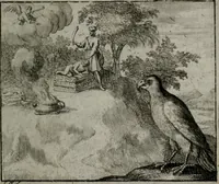 An illustration from Leerzame zinnebeelden : bestaande in christelyke bedenkingen door vergelykinge eeniger schepfelen ... (1704)