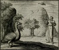 An illustration from Leerzame zinnebeelden : bestaande in christelyke bedenkingen door vergelykinge eeniger schepfelen ... (1704)