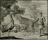 An illustration from Leerzame zinnebeelden : bestaande in christelyke bedenkingen door vergelykinge eeniger schepfelen ... (1704)