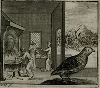An illustration from Leerzame zinnebeelden : bestaande in christelyke bedenkingen door vergelykinge eeniger schepfelen ... (1704)