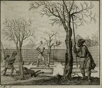 An illustration from Leerzame zinnebeelden : bestaande in christelyke bedenkingen door vergelykinge eeniger schepfelen ... (1704)