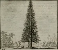 An illustration from Leerzame zinnebeelden : bestaande in christelyke bedenkingen door vergelykinge eeniger schepfelen ... (1704)