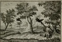 Picture 107 of 113 from Leerzame zinnebeelden : bestaande in christelyke bedenkingen door vergelykinge eeniger schepfelen ... (1704), leaf 248