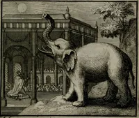 An illustration from Leerzame zinnebeelden : bestaande in christelyke bedenkingen door vergelykinge eeniger schepfelen ... (1704)