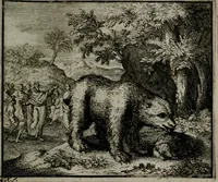 Picture 19 of 113 from Leerzame zinnebeelden : bestaande in christelyke bedenkingen door vergelykinge eeniger schepfelen ... (1704), leaf 66