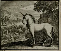 Picture 20 of 113 from Leerzame zinnebeelden : bestaande in christelyke bedenkingen door vergelykinge eeniger schepfelen ... (1704), leaf 68