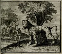 Picture 21 of 113 from Leerzame zinnebeelden : bestaande in christelyke bedenkingen door vergelykinge eeniger schepfelen ... (1704), leaf 70
