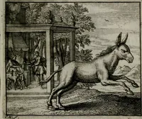 An illustration from Leerzame zinnebeelden : bestaande in christelyke bedenkingen door vergelykinge eeniger schepfelen ... (1704)