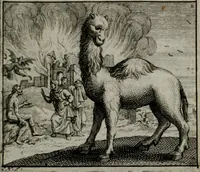 An illustration from Leerzame zinnebeelden : bestaande in christelyke bedenkingen door vergelykinge eeniger schepfelen ... (1704)